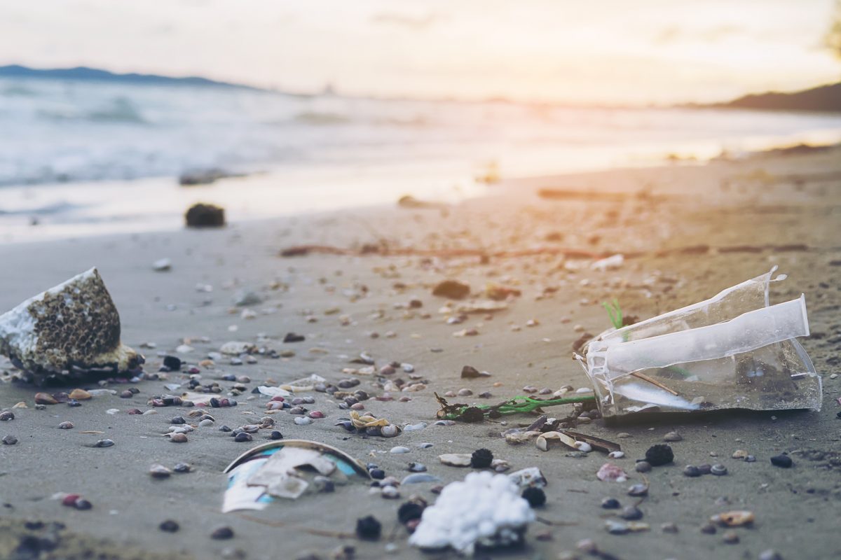 Plastic debris on beach